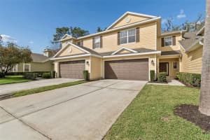 20112 INDIAN ROSEWOOD DRIVE, TAMPA, FL 33647 - MLS#MFRTB8486427