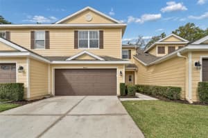 20112 INDIAN ROSEWOOD DRIVE, TAMPA, FL 33647 - MLS#MFRTB8486427