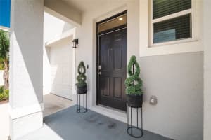 1287 COLT CREEK PLACE, WESLEY CHAPEL, FL 33543 - MLS#MFRTB8486438