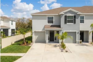 1287 COLT CREEK PLACE, WESLEY CHAPEL, FL 33543 - MLS#MFRTB8486438