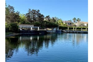 1501 AMARONE PLACE, LUTZ, FL 33548 - MLS#MFRTB8486456