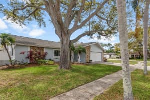 11796 SAREE COURT, SEMINOLE, FL 33778 - MLS#MFRTB8486475