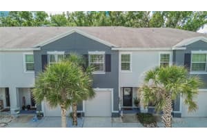 3315 Pleasant Willow Ct, BRANDON