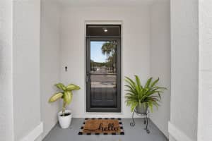 3315 PLEASANT WILLOW COURT, BRANDON, FL 33511 - MLS#MFRTB8486480