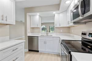 3545 INDIGO POND DRIVE, PALM HARBOR, FL 34685 - MLS#MFRTB8486483