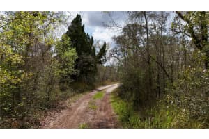 12120 PHYLLIS LANE, HUDSON, FL 34669 Sold 04/21/26