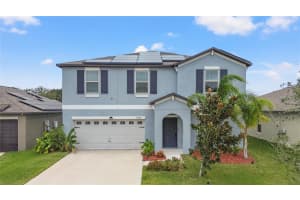 10348 Scarlet Skimmer Dr, RIVERVIEW