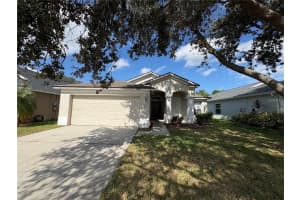 12412 CEDARFIELD DRIVE, RIVERVIEW, FL 33579 - MLS#MFRTB8486522