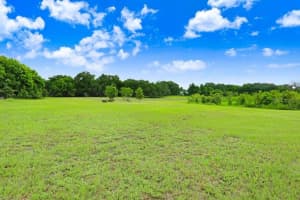 37352 � TRILBY ROAD, DADE CITY, FL 33523 - MLS#MFRTB8486530