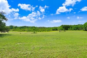 37352 � TRILBY ROAD, DADE CITY, FL 33523 - MLS#MFRTB8486530