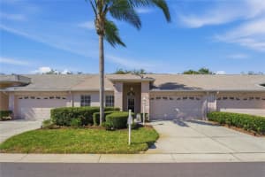 1221 WOLFORD DRIVE, TRINITY, FL 34655 - MLS#MFRTB8486566