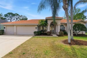 1310 KINGS WAY LANE, TARPON SPRINGS, FL 34688 - MLS#MFRTB8486598