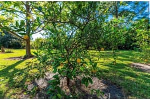 25271 ROLAND LANE, PUNTA GORDA, FL 33955 - MLS#MFRTB8486617
