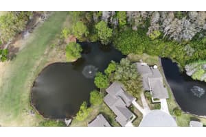 3637 DOWNFIELD PLACE, NEW PORT RICHEY, FL 34655 - MLS#MFRTB8486622