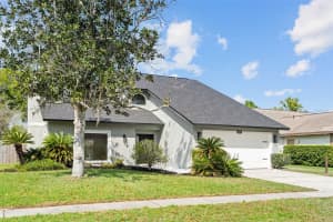 14906 PALMCREST PLACE, TAMPA, FL 33625 - MLS#MFRTB8486634