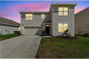 2814 COMMON FIG RUN, WESLEY CHAPEL, FL 33543 - MLS#MFRTB8486636