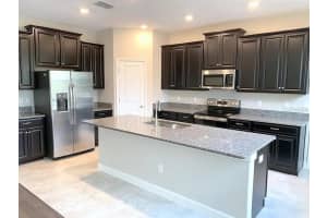 16308 HYDE MANOR DRIVE, TAMPA, FL 33647 - MLS#MFRTB8486646