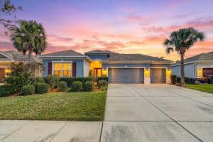 11118 FOSTER CARRIAGE ROAD, LITHIA, FL 33547 - MLS#MFRTB8486694