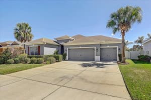 11118 FOSTER CARRIAGE ROAD, LITHIA, FL 33547 - MLS#MFRTB8486694