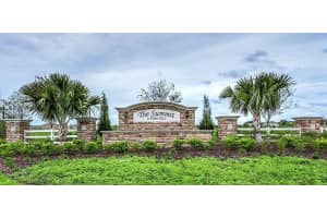 10241 STRAWBERRY TETRA DRIVE, RIVERVIEW, FL 33578 - MLS#MFRTB8486724