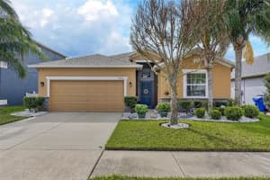 12113 Echo Basin Cv, RIVERVIEW