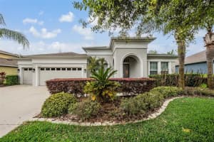 19420 AUTUMN CHASE COURT, LAND O LAKES, FL 34638 - MLS#MFRTB8486776