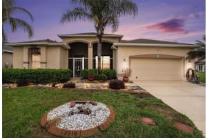 9916 CLEGHORN DRIVE, SAN ANTONIO, FL 33576 - MLS#MFRTB8486812