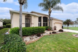 9916 CLEGHORN DRIVE, SAN ANTONIO, FL 33576 - MLS#MFRTB8486812