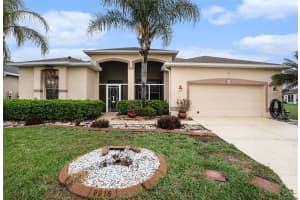 9916 CLEGHORN DRIVE, SAN ANTONIO, FL 33576 - MLS#MFRTB8486812