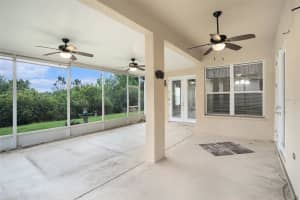 9916 CLEGHORN DRIVE, SAN ANTONIO, FL 33576 - MLS#MFRTB8486812