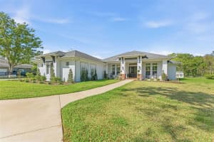17506 BROWN ROAD, ODESSA, FL 33556 - MLS#MFRTB8486814