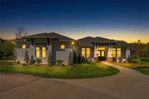 17506 BROWN ROAD, ODESSA, FL 33556 - MLS#MFRTB8486814