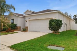 12423 BALLENTRAE FOREST DRIVE, RIVERVIEW, FL 33579 - MLS#MFRTB8486816