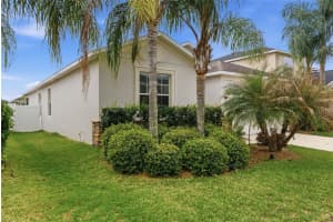 12423 BALLENTRAE FOREST DRIVE, RIVERVIEW, FL 33579 - MLS#MFRTB8486816