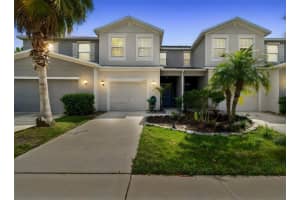 10687 LAKE MONTAUK DRIVE, RIVERVIEW, FL 33578 - MLS#MFRTB8486824