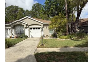 3164 Brooker Creek Way, PALM HARBOR