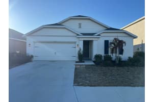 16443 Little Garden Dr, WIMAUMA