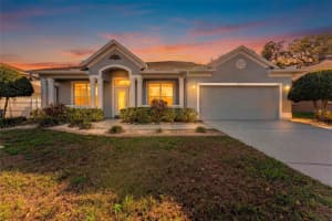 1625 GRAND HERITAGE BOULEVARD, VALRICO, FL 33594 - MLS#MFRTB8486865