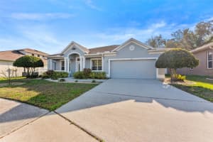 1625 GRAND HERITAGE BOULEVARD, VALRICO, FL 33594 - MLS#MFRTB8486865
