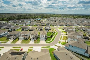 20864 CHERRY RIVER ROAD, LAND O LAKES, FL 34638 - MLS#MFRTB8486894