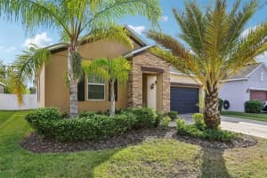 11767 WINTERSET COVE DRIVE, RIVERVIEW, FL 33579 - MLS#MFRTB8486898