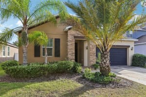 11767 WINTERSET COVE DRIVE, RIVERVIEW, FL 33579 - MLS#MFRTB8486898
