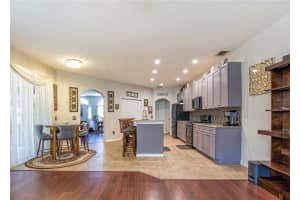 1422 TAWNYBERRY COURT, TRINITY, FL 34655 - MLS#MFRTB8486905