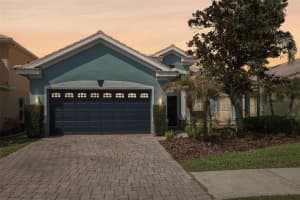 18028 MALAKAI ISLE DRIVE, TAMPA, FL 33647 - MLS#MFRTB8486922