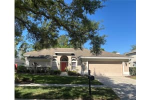 9126 Rockrose Dr, TAMPA 9126 Rockrose Dr, TAMPA