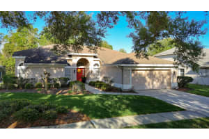 9126 ROCKROSE DRIVE, TAMPA, FL 33647 - MLS#MFRTB8486926