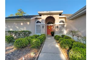 9126 ROCKROSE DRIVE, TAMPA, FL 33647 - MLS#MFRTB8486926