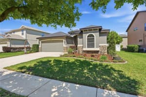 32111 GARDEN ALCOVE LOOP, WESLEY CHAPEL, FL 33545 - MLS#MFRTB8486932