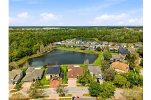29725 CEDAR WAXWING DRIVE, WESLEY CHAPEL, FL 33545 - MLS#MFRTB8486949