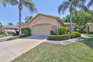 2023 ACADIA GREENS DRIVE, SUN CITY CENTER, FL 33573 - MLS#MFRTB8486955